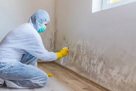 Best Mold Documentation for Insurance Claims  in Elbow Lake, MN